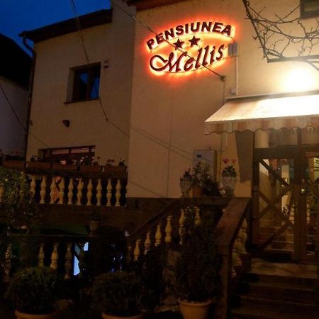 Pension Mellis Cluj Napoca Hotel ภายนอก รูปภาพ